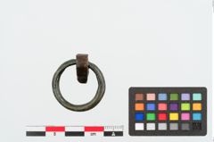 Foto von Bronzering (NHMW-PRAE-024946)